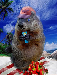 Beach Phil